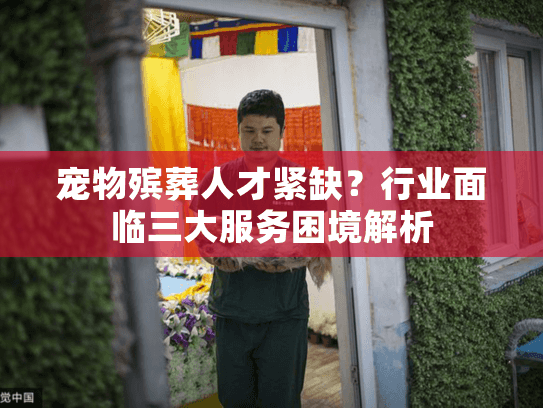 宠物殡葬人才紧缺？行业面临三大服务困境解析