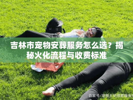 吉林市宠物安葬服务怎么选？揭秘火化流程与收费标准
