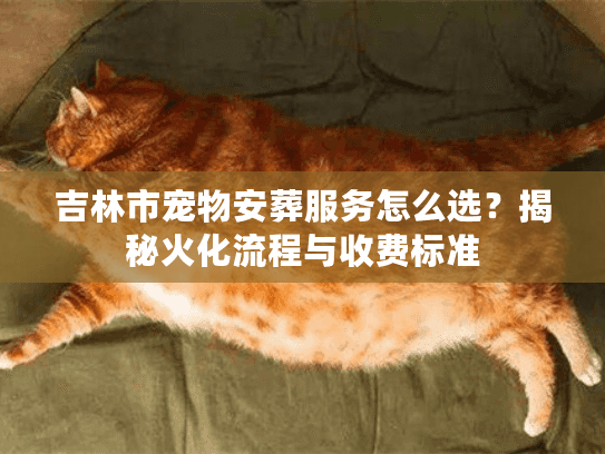 吉林市宠物安葬服务怎么选？揭秘火化流程与收费标准