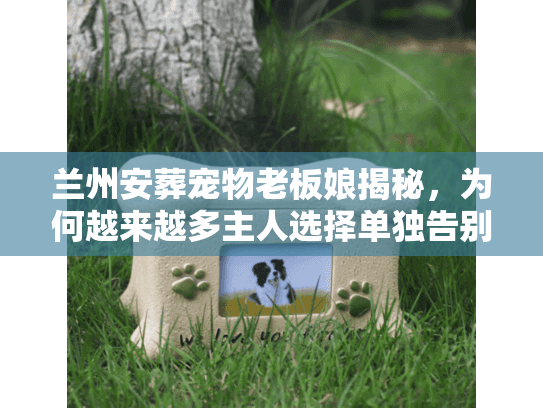 兰州安葬宠物老板娘揭秘，为何越来越多主人选择单独告别？