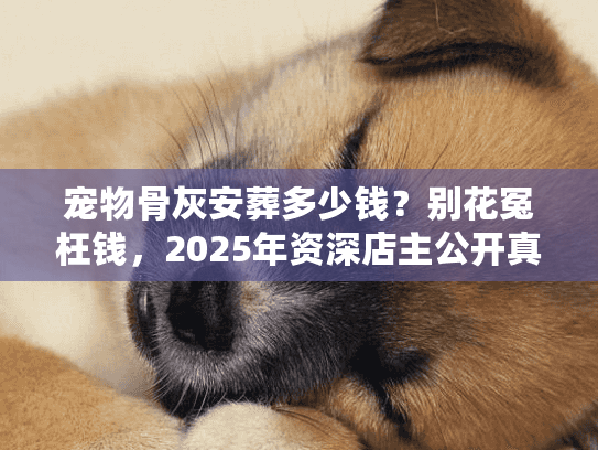 宠物骨灰安葬多少钱？别花冤枉钱，2025年资深店主公开真实收费标准