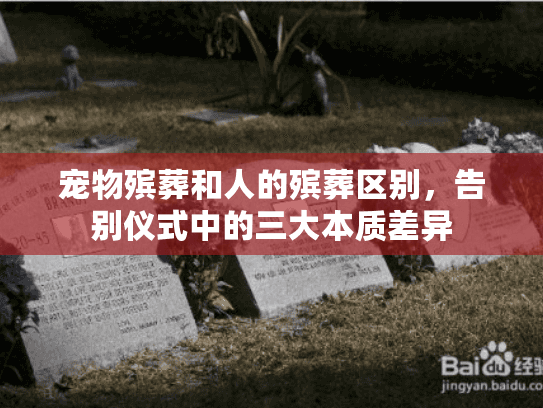 宠物殡葬和人的殡葬区别，告别仪式中的三大本质差异