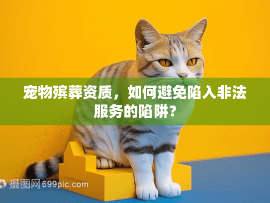 宠物殡葬资质，如何避免陷入非法服务的陷阱？