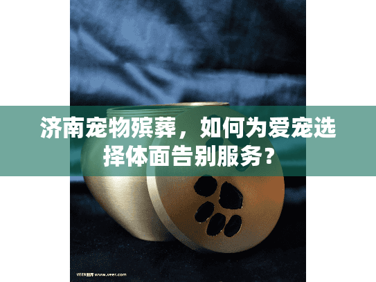 济南宠物殡葬，如何为爱宠选择体面告别服务？