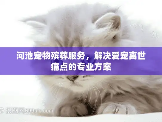 河池宠物殡葬服务，解决爱宠离世痛点的专业方案