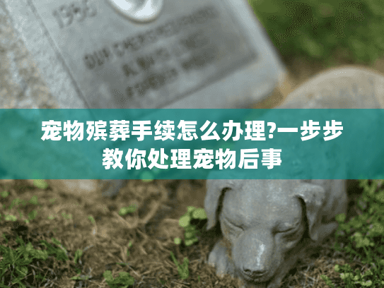宠物殡葬手续怎么办理?一步步教你处理宠物后事
