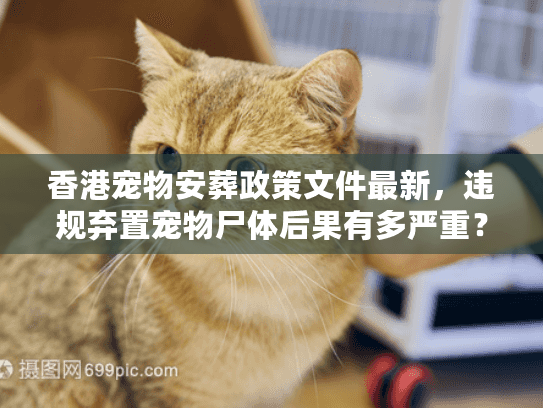 香港宠物安葬政策文件最新，违规弃置宠物尸体后果有多严重？