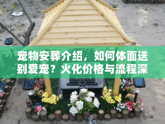 宠物安葬介绍，如何体面送别爱宠？火化价格与流程深度揭秘