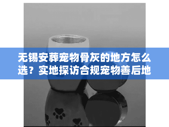 无锡安葬宠物骨灰的地方怎么选？实地探访合规宠物善后地