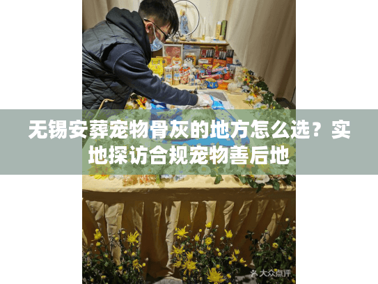 无锡安葬宠物骨灰的地方怎么选？实地探访合规宠物善后地