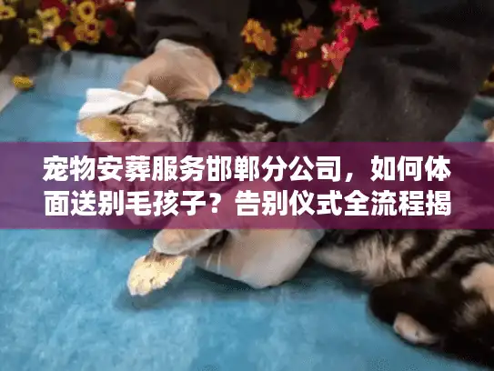 宠物安葬服务邯郸分公司，如何体面送别毛孩子？告别仪式全流程揭秘