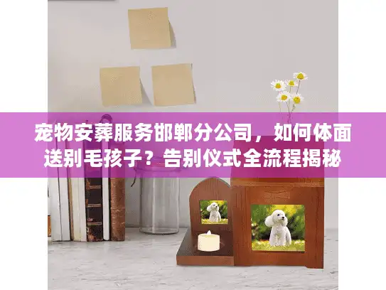 宠物安葬服务邯郸分公司，如何体面送别毛孩子？告别仪式全流程揭秘