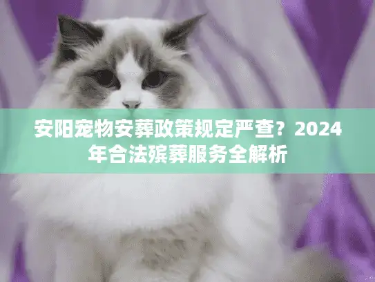 安阳宠物安葬政策规定严查？2024年合法殡葬服务全解析