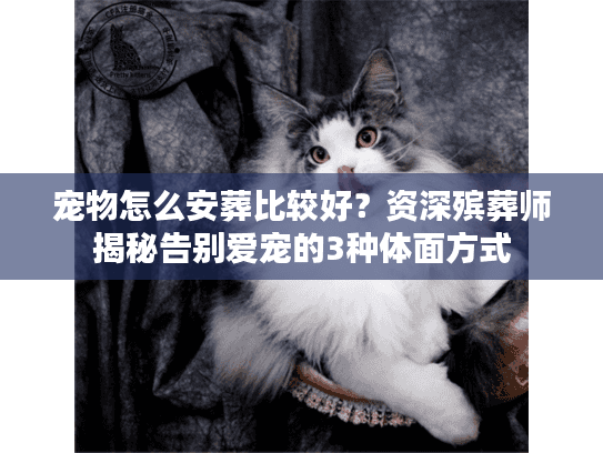 宠物怎么安葬比较好?资深殡葬师揭秘告别爱宠的3种体面方式 宠物怎么安葬比较好?资深殡葬师揭秘告别爱宠的3种体面方式