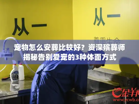 宠物怎么安葬比较好?资深殡葬师揭秘告别爱宠的3种体面方式 宠物怎么安葬比较好?资深殡葬师揭秘告别爱宠的3种体面方式