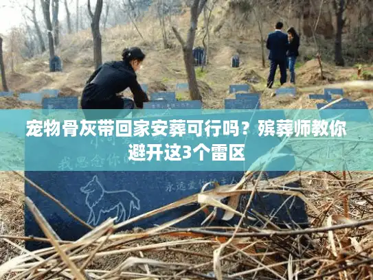 宠物骨灰带回家安葬可行吗？殡葬师教你避开这3个雷区