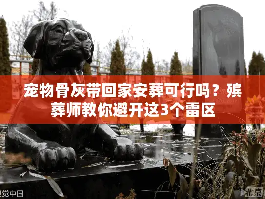 宠物骨灰带回家安葬可行吗？殡葬师教你避开这3个雷区