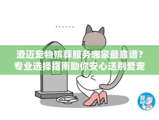 澄迈宠物殡葬服务哪家最靠谱？专业选择指南助你安心送别爱宠