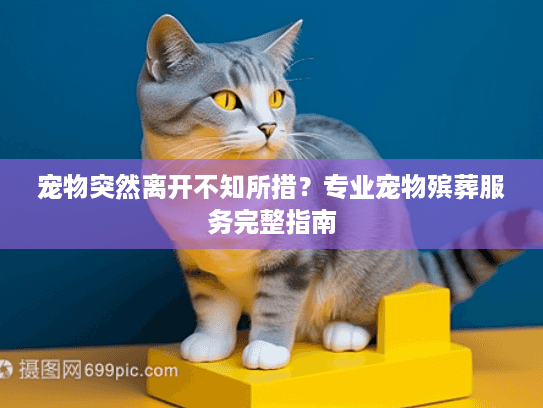 宠物突然离开不知所措？专业宠物殡葬服务完整指南