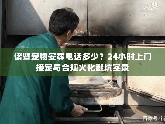 诸暨宠物安葬电话多少？24小时上门接宠与合规火化避坑实录