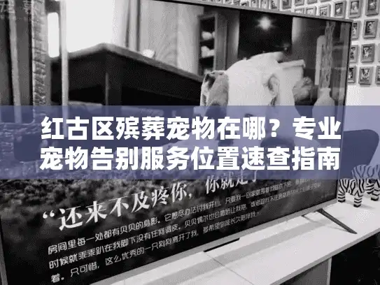 红古区殡葬宠物在哪？专业宠物告别服务位置速查指南