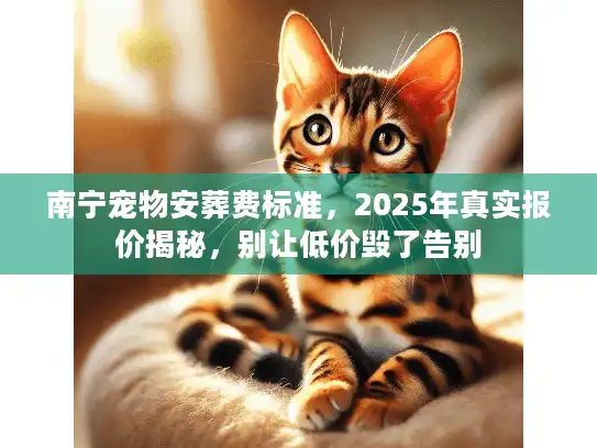南宁宠物安葬费标准，2025年真实报价揭秘，别让低价毁了告别