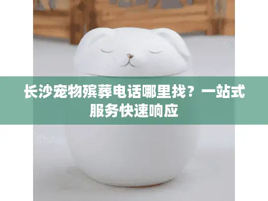 长沙宠物殡葬电话哪里找?一站式服务快速响应 长沙宠物殡葬电话哪里找?一站式服务快速响应