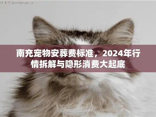 南充宠物安葬费标准,2024年行情拆解与隐形消费大起底 南充宠物安葬费标准,2024年行情拆解与隐形消费大起底