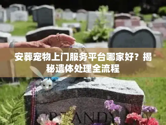 安葬宠物上门服务平台哪家好?揭秘遗体处理全流程 安葬宠物上门服务平台哪家好?揭秘遗体处理全流程