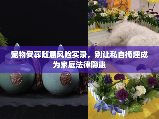 宠物安葬随意风险实录，别让私自掩埋成为家庭法律隐患