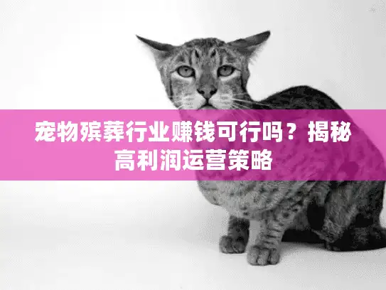 宠物殡葬行业赚钱可行吗？揭秘高利润运营策略
