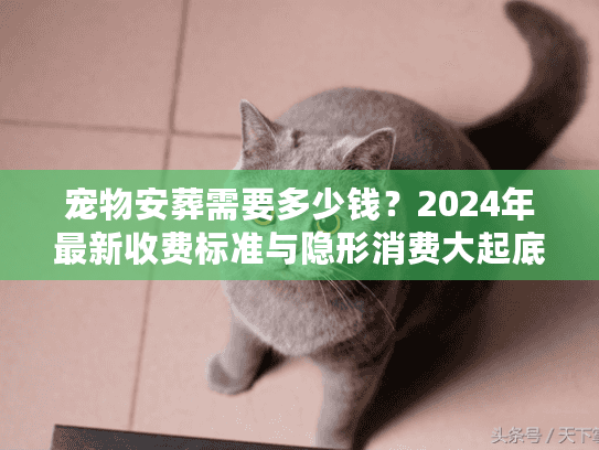 宠物安葬需要多少钱？2024年最新收费标准与隐形消费大起底