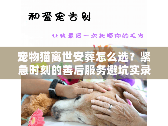 宠物猫离世安葬怎么选?紧急时刻的善后服务避坑实录 宠物猫离世安葬怎么选?紧急时刻的善后服务避坑实录