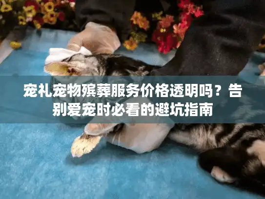 宠礼宠物殡葬服务价格透明吗？告别爱宠时必看的避坑指南