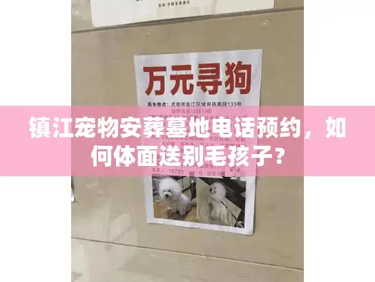 镇江宠物安葬墓地电话预约，如何体面送别毛孩子？