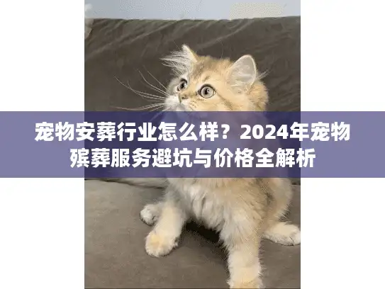 宠物安葬行业怎么样?2024年宠物殡葬服务避坑与价格全解析 宠物安葬行业怎么样?2024年宠物殡葬服务避坑与价格全解析