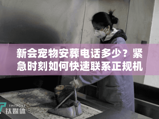 新会宠物安葬电话多少？紧急时刻如何快速联系正规机构