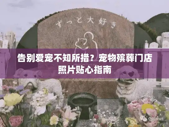 告别爱宠不知所措?宠物殡葬门店照片贴心指南 告别爱宠不知所措?宠物殡葬门店照片贴心指南