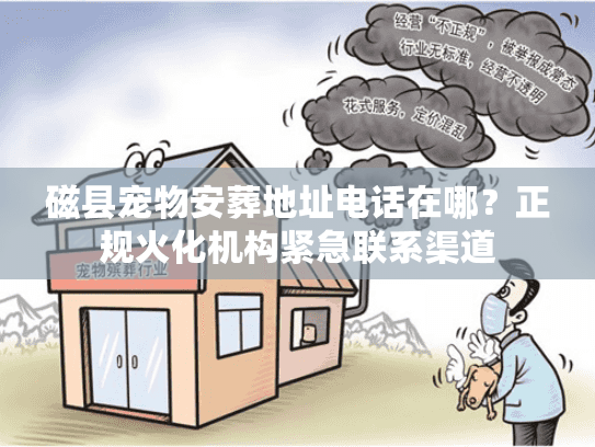 磁县宠物安葬地址电话在哪？正规火化机构紧急联系渠道