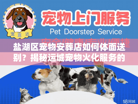 盐湖区宠物安葬店如何体面送别？揭秘运城宠物火化服务的隐形标准