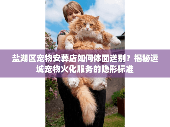 盐湖区宠物安葬店如何体面送别？揭秘运城宠物火化服务的隐形标准