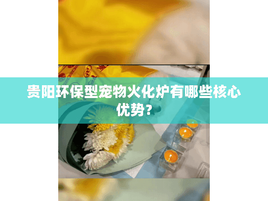 贵阳环保型宠物火化炉有哪些核心优势？
