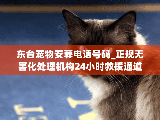 东台宠物安葬电话号码_正规无害化处理机构24小时救援通道