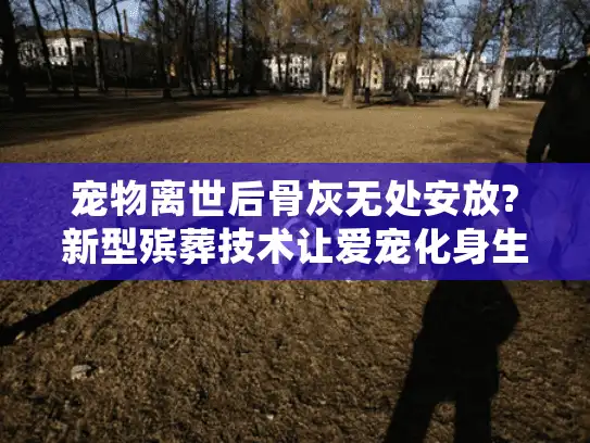 宠物离世后骨灰无处安放?新型殡葬技术让爱宠化身生命宝石永恒相伴