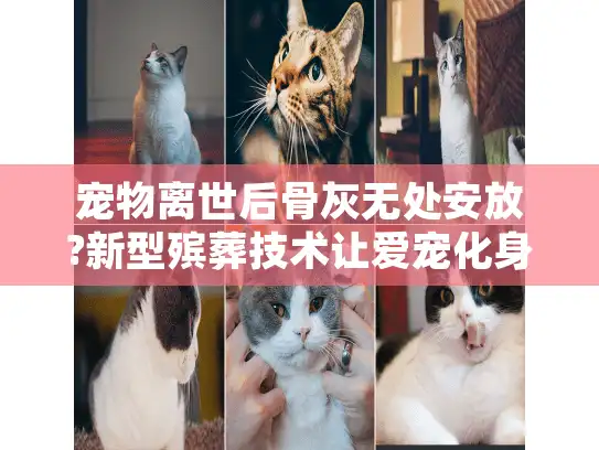 宠物离世后骨灰无处安放?新型殡葬技术让爱宠化身生命宝石永恒相伴