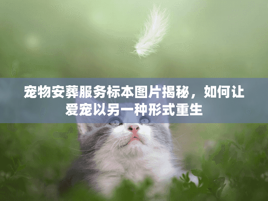 宠物安葬服务标本图片揭秘,如何让爱宠以另一种形式重生 宠物安葬服务标本图片揭秘,如何让爱宠以另一种形式重生