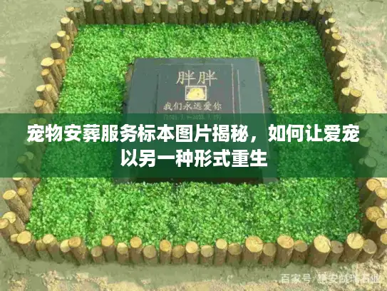 宠物安葬服务标本图片揭秘,如何让爱宠以另一种形式重生 宠物安葬服务标本图片揭秘,如何让爱宠以另一种形式重生