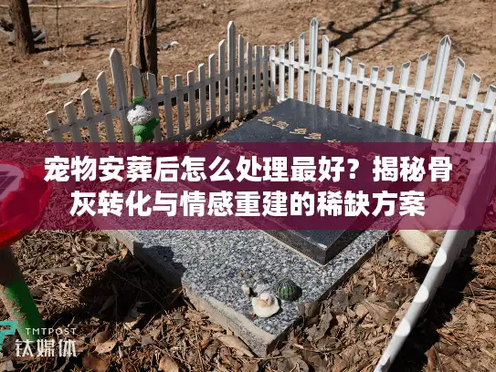 宠物安葬后怎么处理最好？揭秘骨灰转化与情感重建的稀缺方案