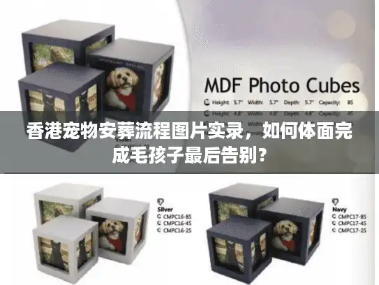 香港宠物安葬流程图片实录，如何体面完成毛孩子最后告别？