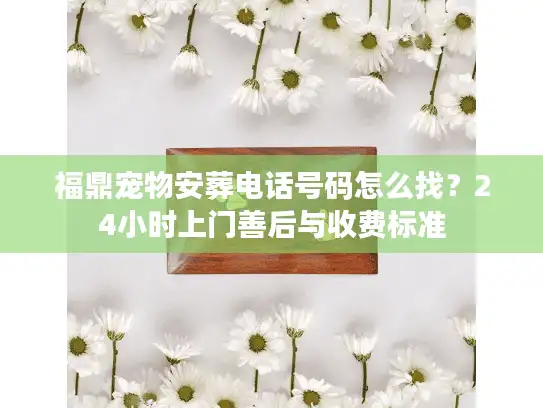 福鼎宠物安葬电话号码怎么找？24小时上门善后与收费标准